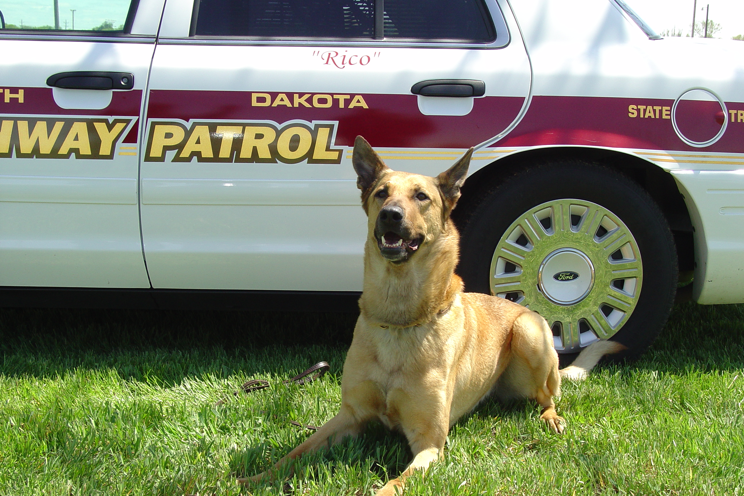Image of PSD Rico