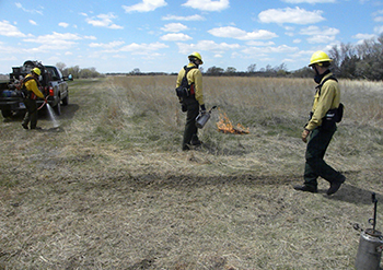 Image of South Dakota Wildland Fire firefighters starting and extinguishing a prescribed burn fire line