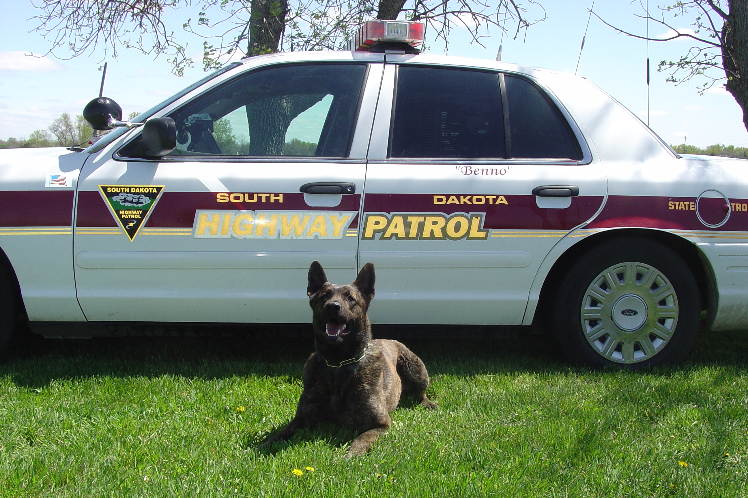 Image of Benno - police service dog