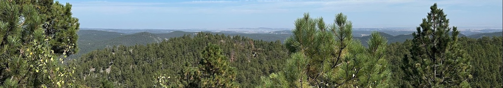 Image of Black Hills National Forest