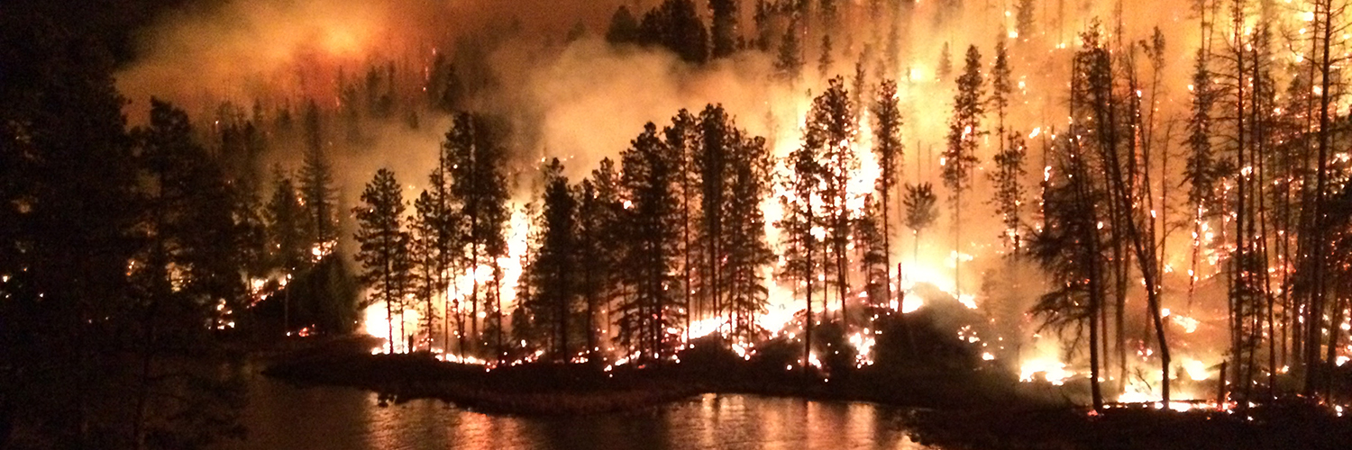 Image of wildfire burning in a forested area next to the shore of a lake