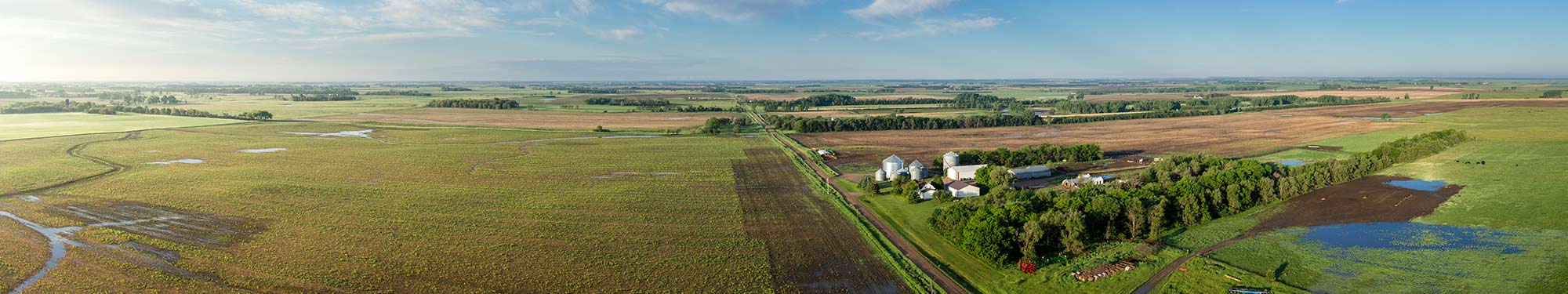Image of dirt road separating a field and a farm yard in rural South Dakota
