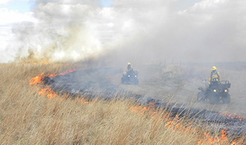 Image of South Dakota Wildland Fire firefighters on ATVs as they work a prescribed burn fire line