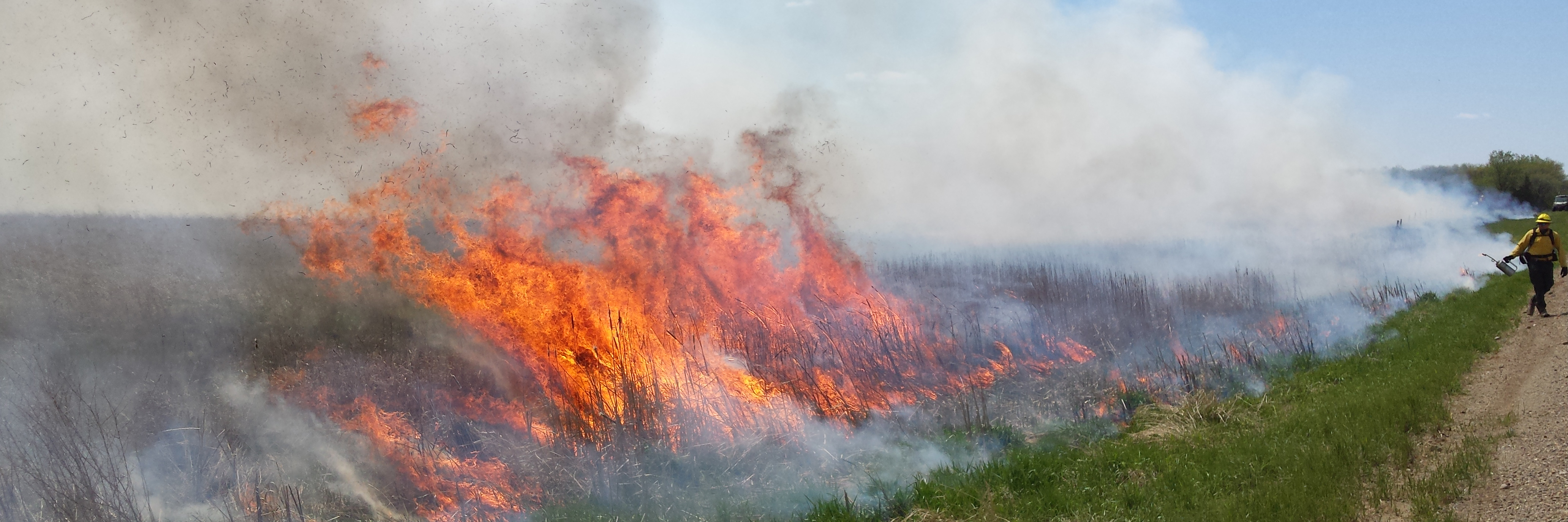 Image of fire burning in a ditch next to a gravel road