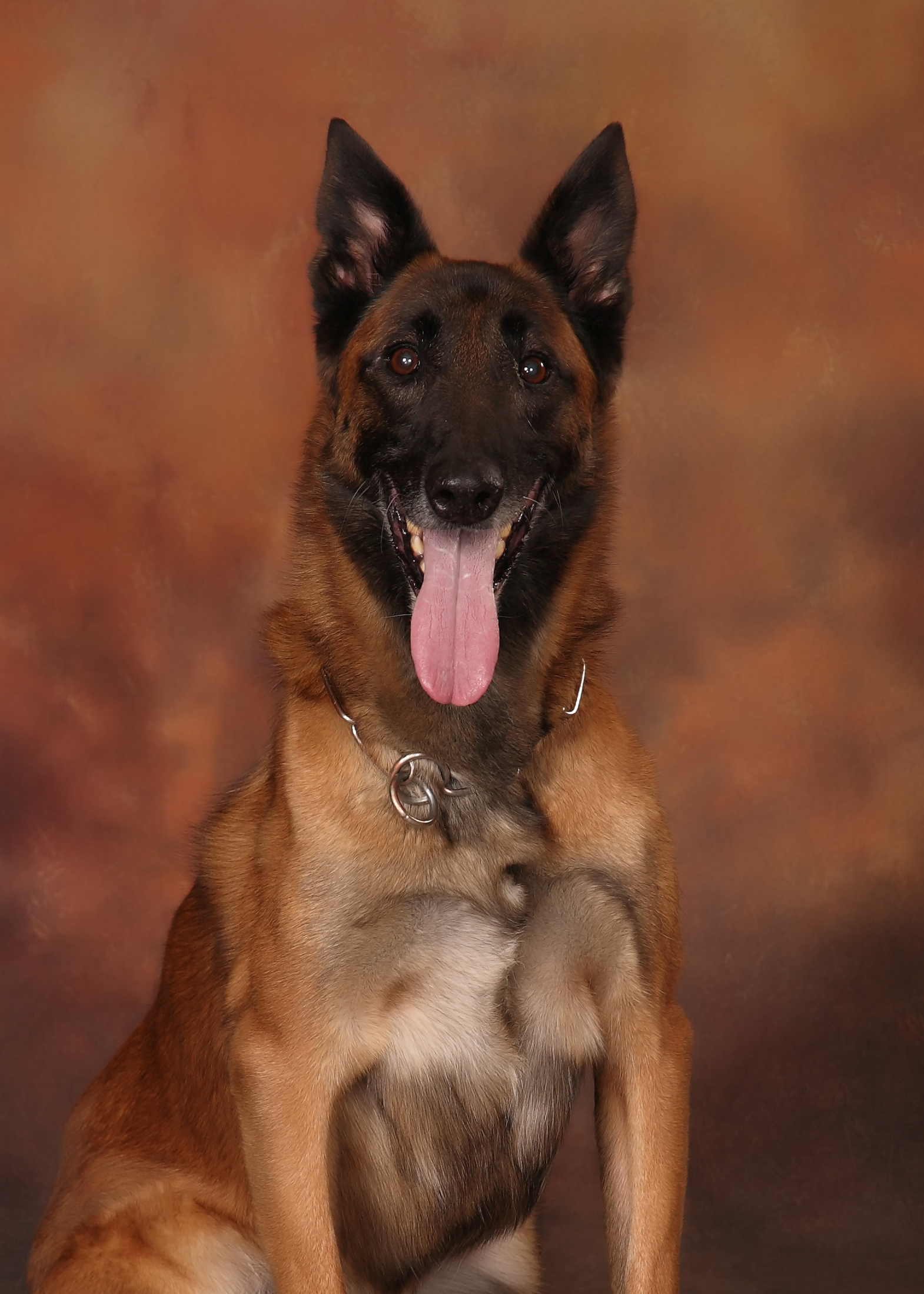 Image of Aros