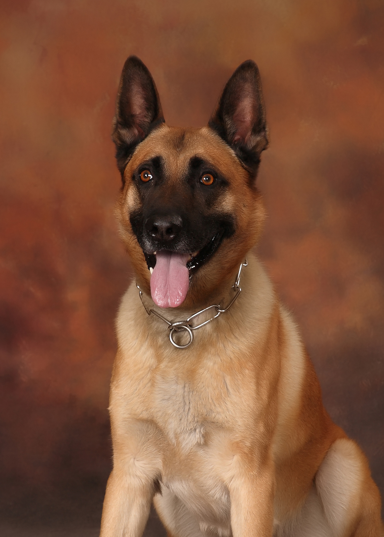 Image of PSD Ryker
