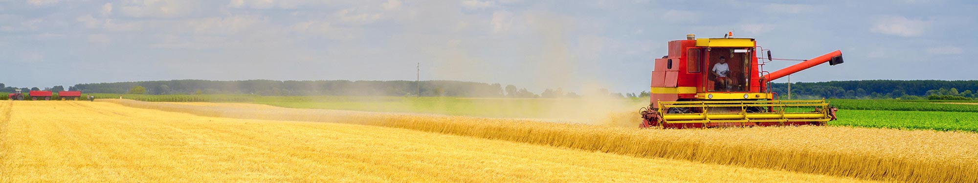 Image of red harvester machine in yellow wheat field