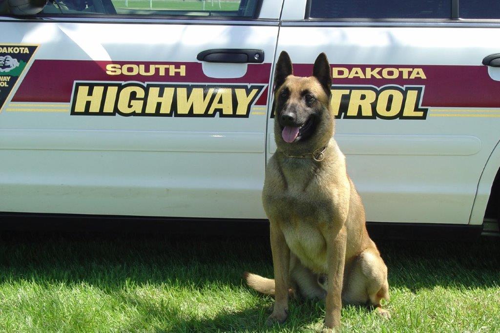 Image of Andros - police service dog