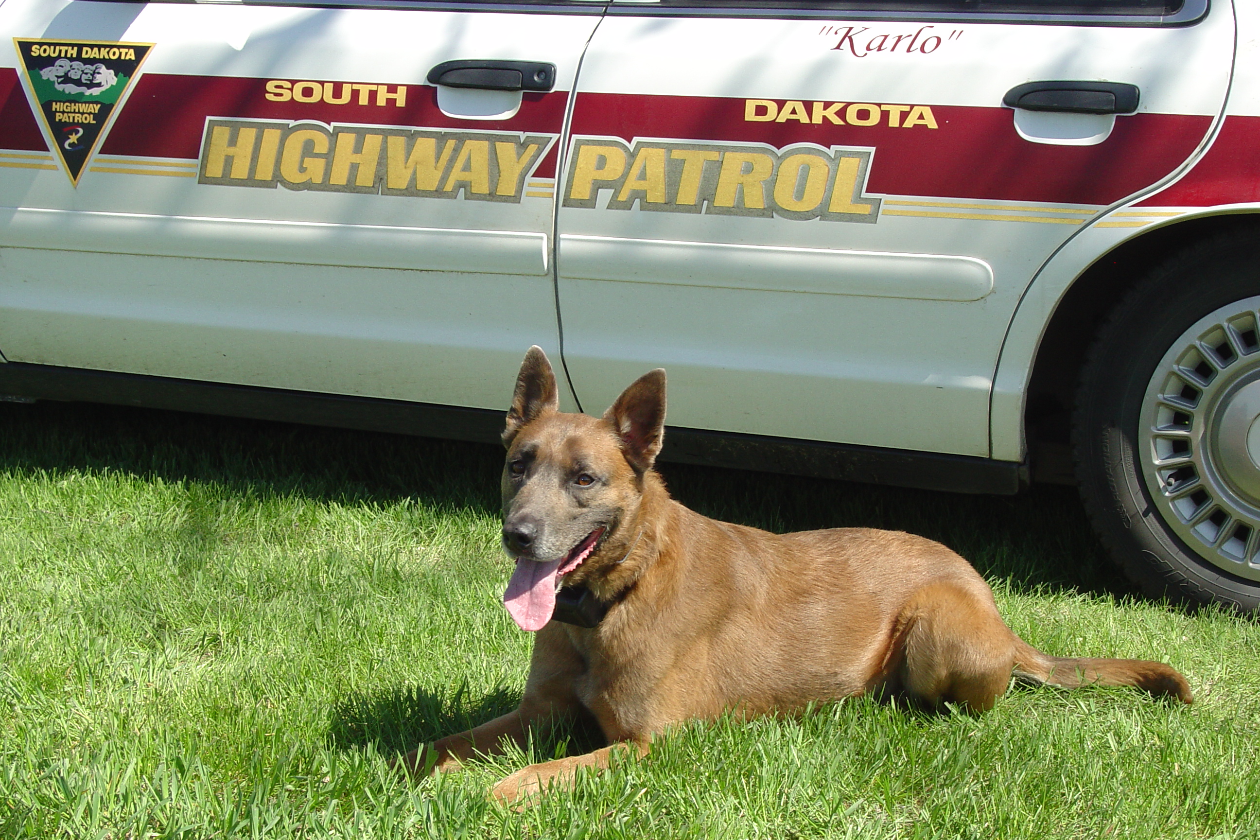 Image of PSD Karlo