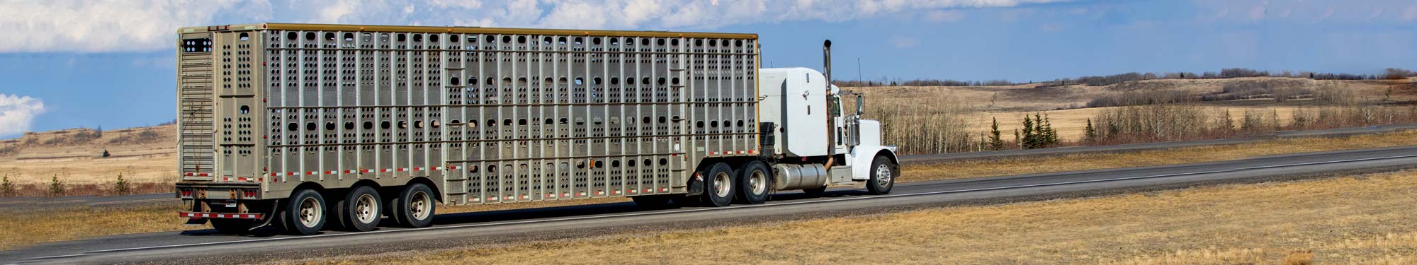 Image of cattle truck driving on highway in South Dakota