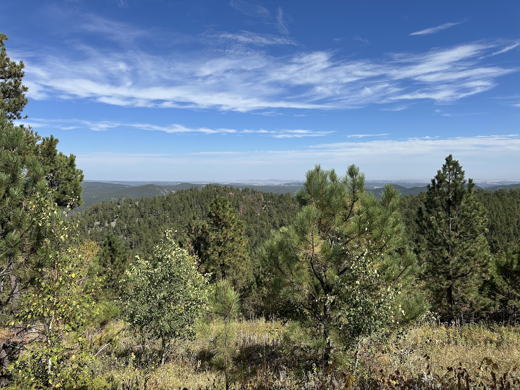 Image of Black Hills National Forest