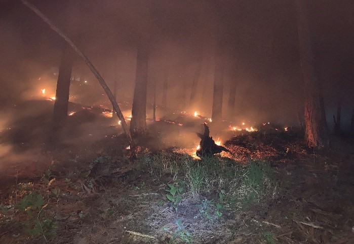 Image of forest fire at night from ground zero - credit Ray Black