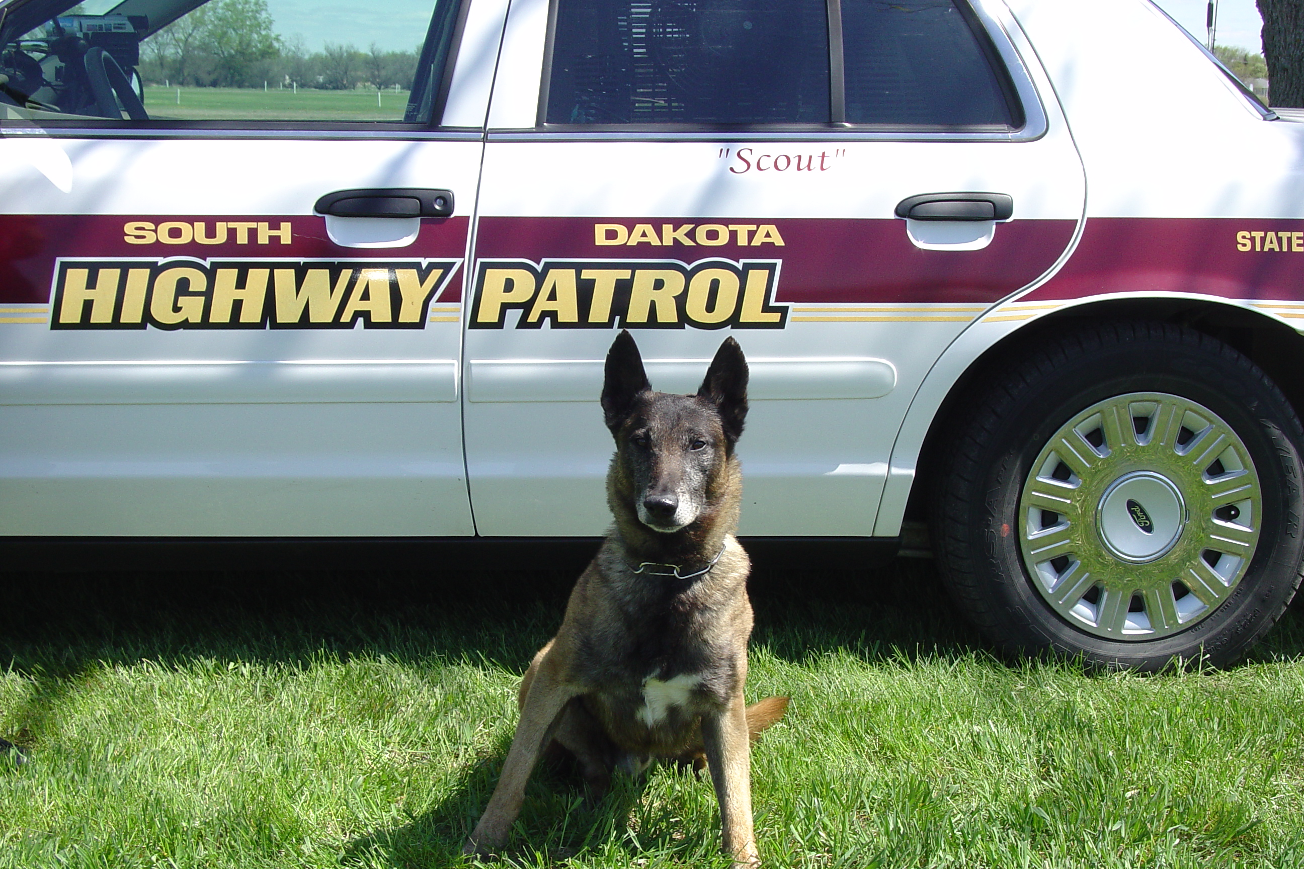 Image of PSD Scout
