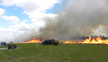 image of prescribed fire burning
