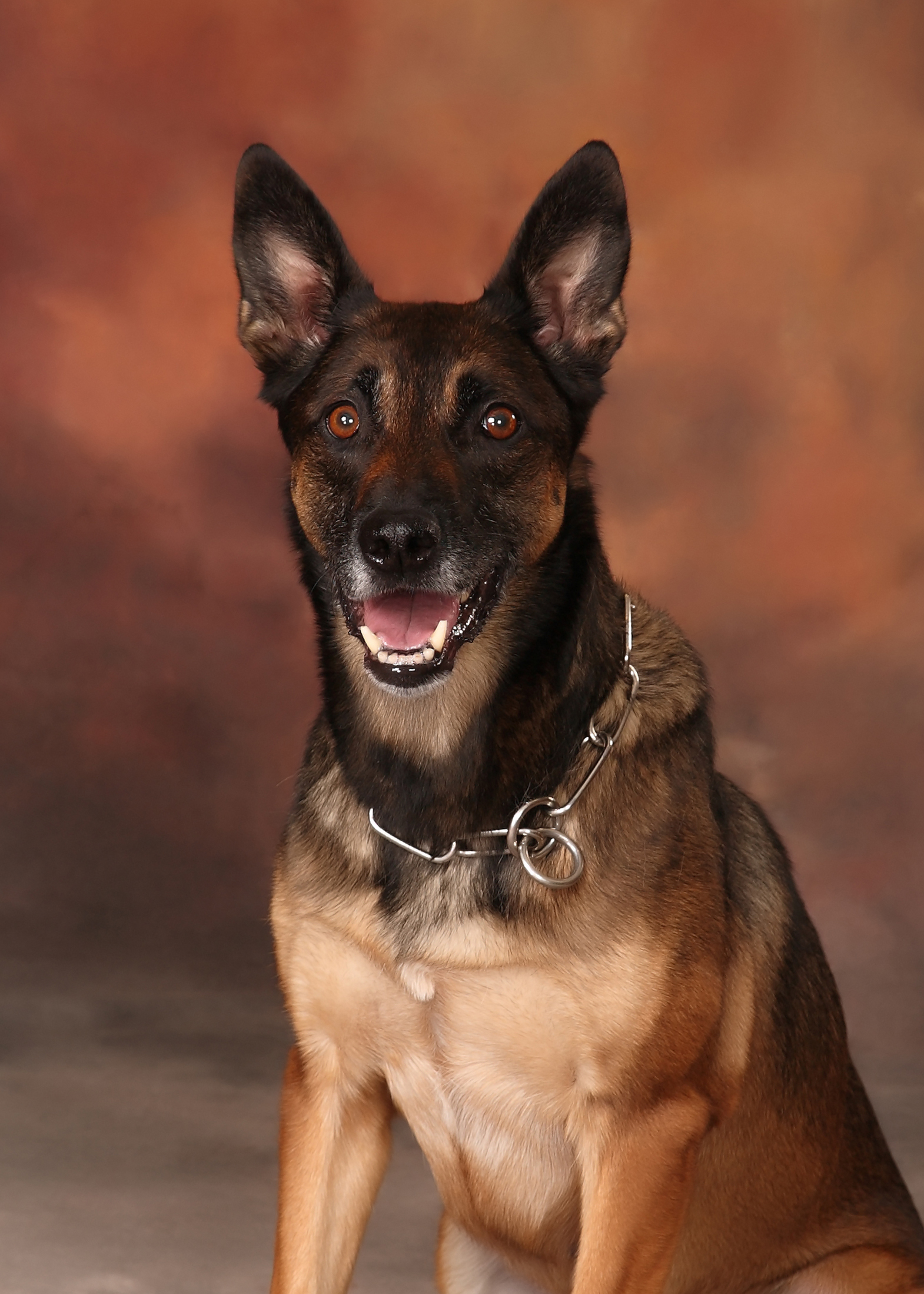 Image of PSD Raica (Ray-ka)