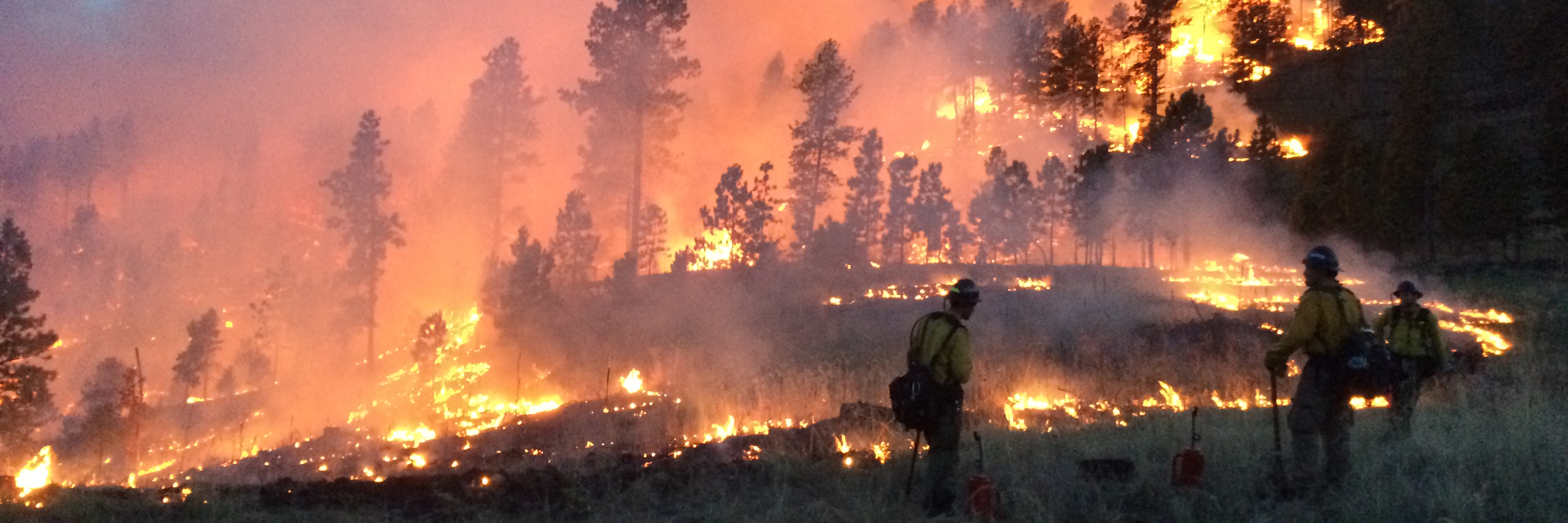 Image of fire in forest with firefighter in foreground