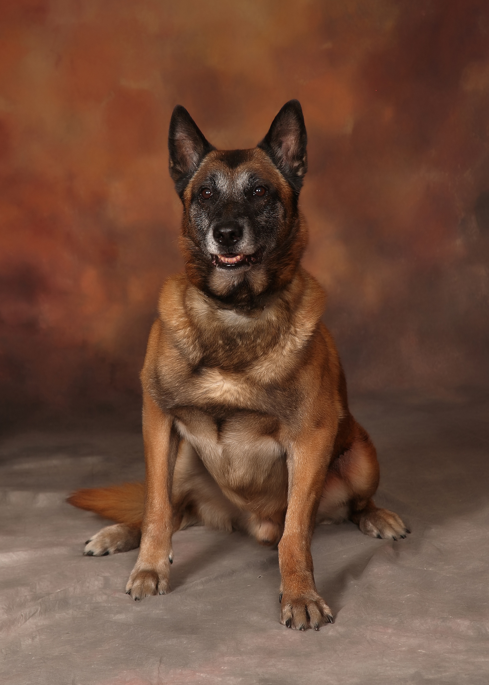 Image of PSD Zeke