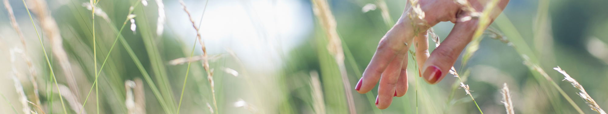 Image of woman's hand as it lingers in tall wavy grass